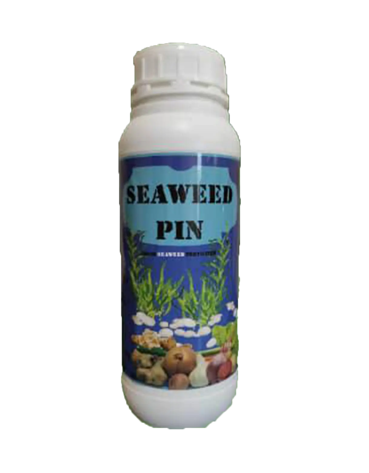 seaweed